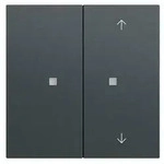 Gira Taster Wippe 2f 517573