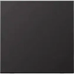 Jung Steuertaste Standard AL 1700 D