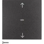 Berker KNX-Funk Jalousie-Taste 85245285