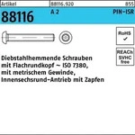 Schraube R 88116 diebstahlhemmend ISR Zapfen M10x 30-T45 A 2 100 St&uuml;ck