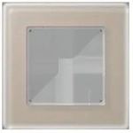 Jung Glasrahmen 1fach AV 581 GLM CH