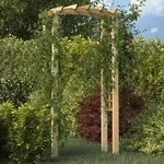 vidaXL Rosenbogen 110x60x210 cm Massivholz Kiefer Impr&auml;gniert