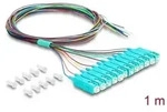 DeLOCK 91048 InfiniBand/fibre optic cable Kabel & Adapter