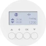 Berker KNX-Funk Jalousieschaltuhr 85745139