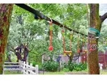 EDUPLAY 170391 Ninja Line, 2 Affenschaukeln, 2 Turnringe & 3 Seilknoten,...