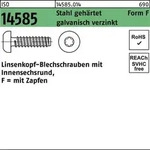 Linsenblechschraube ISO 14585 ISR/Spitze 5,5x13 -F Stahl geh.galv.verz. 500St.
