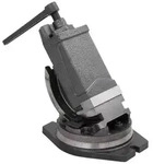 vidaXL 2-Achsen-Schraubstock Kippbar 100 mm