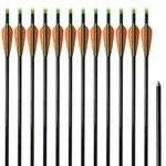 "vidaXL Compoundbogen-Pfeile 30" 0,8 cm Fiberglas 12 Stk."