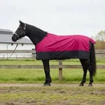 vidaXL Pferdedecke Rosa und Schwarz 125 cm Polyester
