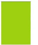 vidaXL Verdunkelungsrollo Gr&uuml;n 115x130cm Stoffbreite 110,7cm Polyester