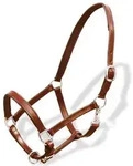 Echtleder Halfter Stallhalfter verstellbar braun Pony