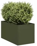 vidaXL Pflanzk&uuml;bel Olivgr&uuml;n 40x80x40 cm Kaltgewalzter Stahl