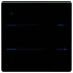 Theben Glas-Tastsensor iON 104 KNX G BK