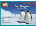 Kamishibai: Der Pinguin 10 Fotobildkarten f&uuml;r das Erz&auml;hltheater