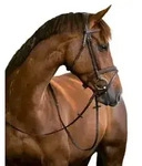 Kerbl Trensenzaum Classic Leder Braun Warmblut 324913
