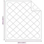 vidaXL Decke mit Kissen 3 pcs Wei&szlig; Mikrofaser und Daunenfedern
