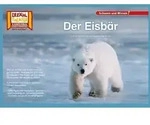 Kamishibai: Der Eisb&auml;r 10 Fotobildkarten f&uuml;r das Erz&auml;hltheater