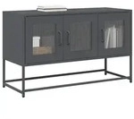 vidaXL TV-Schrank Anthrazit 100,5x39x60,5 cm Kaltgewalzter Stahl