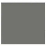 vidaXL Verdunkelungsrollo Grau 150x175cm Stoffbreite 146,6cm Polyester