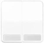 Jung Wippe Schriftfeld aws CD 595 NA WW