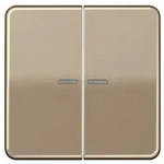 Jung Wippe Lichtleiter go-brz CD 595 KO5 GB