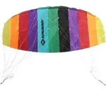 SCHILDKR&Ouml;T Lenkdrache Dual Line Sport Kite 1.3