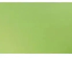 Clairefontaine Fotokarton, Packung mit 25 Bogen 50x70cm, 270g Apfelgr&uuml;n 456419C