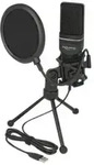 Delock USB Condenser Microphone Set for Podcasting, Gaming and Vocals