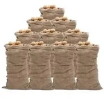 vidaXL Jutes&auml;cke 10 Stk. 65x135 cm 100% Jute 220 g/m2
