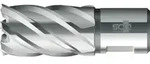 Kernbohrer HSS-Standard Weldon 30 mm KBK-027 Typ HSS-Standard Aufnahme Weldon