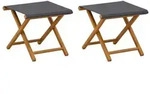 vidaXL Liegestuhl 2 pcs Massives Eukalyptus Holz Grau