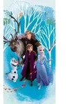 Disney Eisk&ouml;nigin Badetuch, Strandtuch 70*140cm