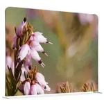 Raumteiler 200x150cm Pinke Blume Erica