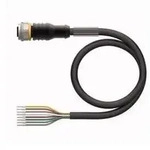 Turck Aktuator- u. Sensorleitung RKC8.800T-40/TEL