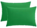 vidaXL Kissenbezug 2 pcs HEERLEN Gr&uuml;n 50 x 80 cm Polyester