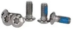 TRP Set of 6 torx titanium rotor bolts Set, 6 Schrauben, titan (1 Set)