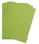 Clairefontaine Maya Bastelkarton 70x100cm 185g 25 Bogen - Moosgr&uuml;n 975752C