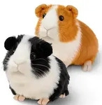 SHINELINE 2 St&uuml;ck S&uuml;&szlig; Meerschweinchen Kuscheltier - Realistische...
