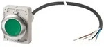Eaton Leuchtdrucktaste flach 1S C30C-FDL-G#186067