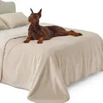 Hundedecke Wasserdicht Waschbar Fleece XXXXL 274x218cm Cremefarben
