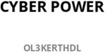 Cyberpower USV OL3KERTHDL 2HE inkl. RMCARD205 3000W