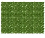 vidaXL Balkonsichtschutz mit Bl&auml;ttern Gr&uuml;n und Gelb 200 x 150 cm