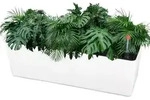 Blumentopf Selbstbew&auml;sserung Wasserspeicher wei&szlig; x1 rechteckig