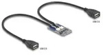 Delock Mini PCIe Adapter full size zu 2 x USB 2.0 Typ-A Buchse 30 cm