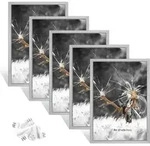 Dmyifan 5er Bilderrahmen DIN A4 silber Set, Fotorahmen mit Plexiglas, Rahmen zum