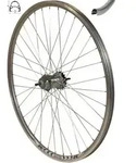 REDONDO 26 Zoll Laufrad Hinterrad Felge Silber Shimano Nexus 3 Gang R&uuml;cktritt