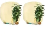 Winterschutz Pflanzenabdeckung Frostschutz 280x300cm beige 2 St&uuml;ck