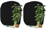 Winterschutz Pflanzenhaube Frostschutz 160x240cm Schwarz-2 St&uuml;ck
