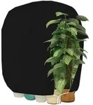 Pflanzenabdeckung Frostschutz Rei&szlig;verschluss Palme 120x140cm Schwarz