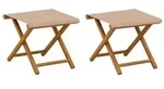 vidaXL Liegestuhl 2 pcs Massives Eukalyptus Holz Taupe